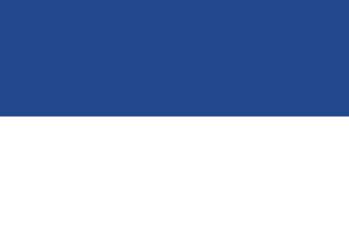 Assen vlag