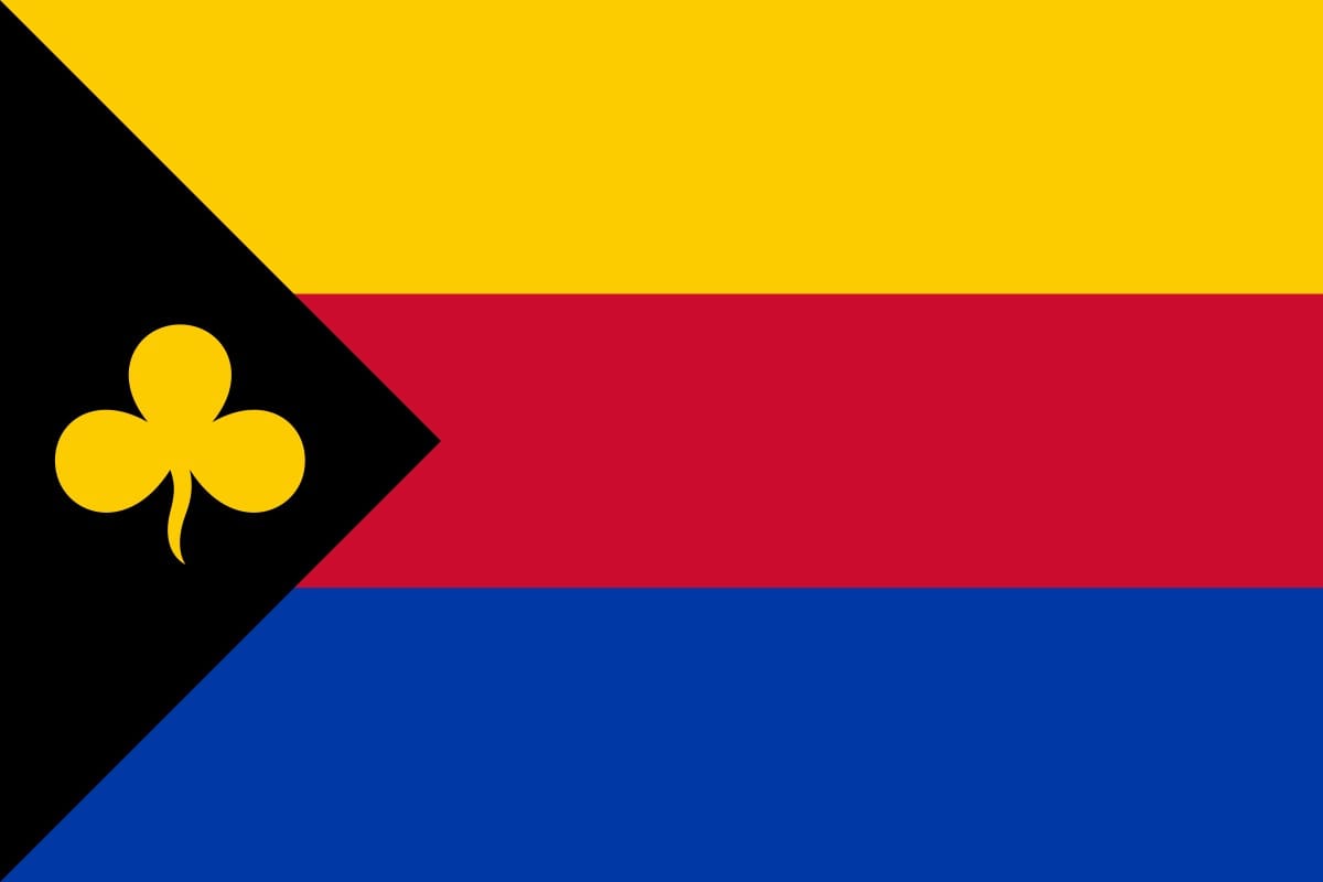 Delfzijl vlag