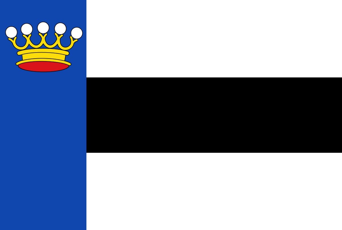 Heerenveen vlag