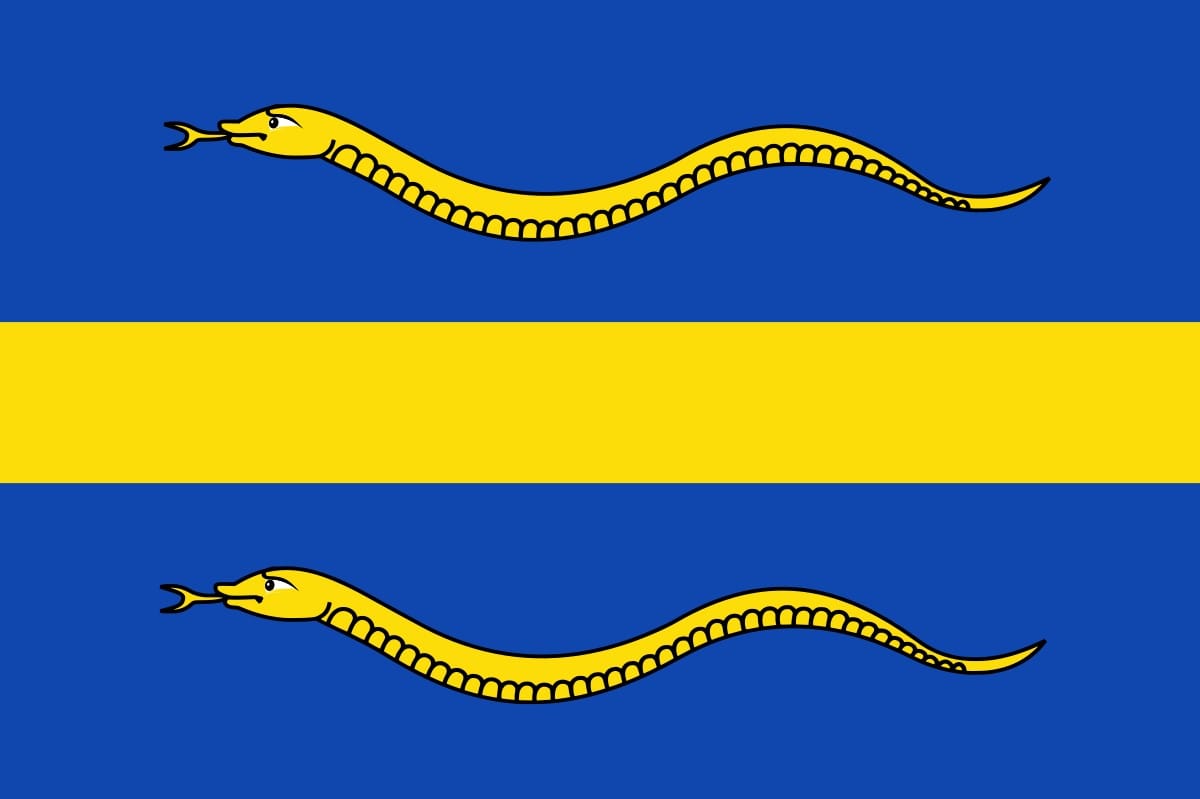 Pijnacker vlag