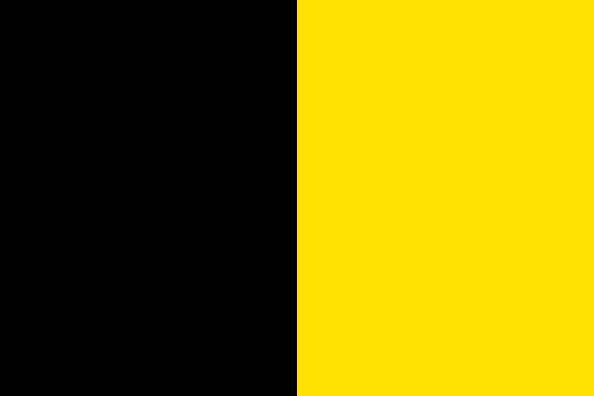 Sneek vlag