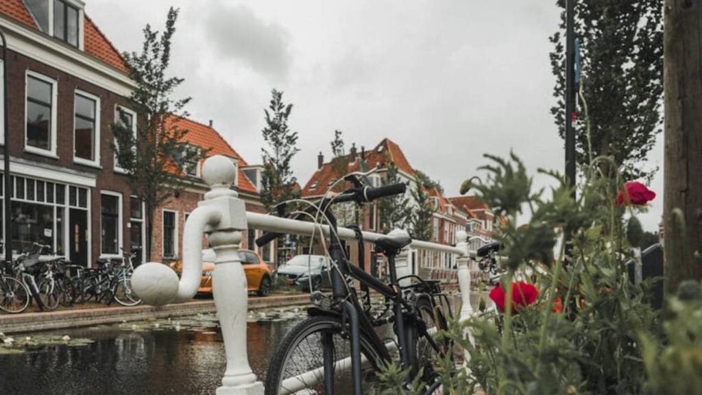 Verhuisbedrijf Delft Budget