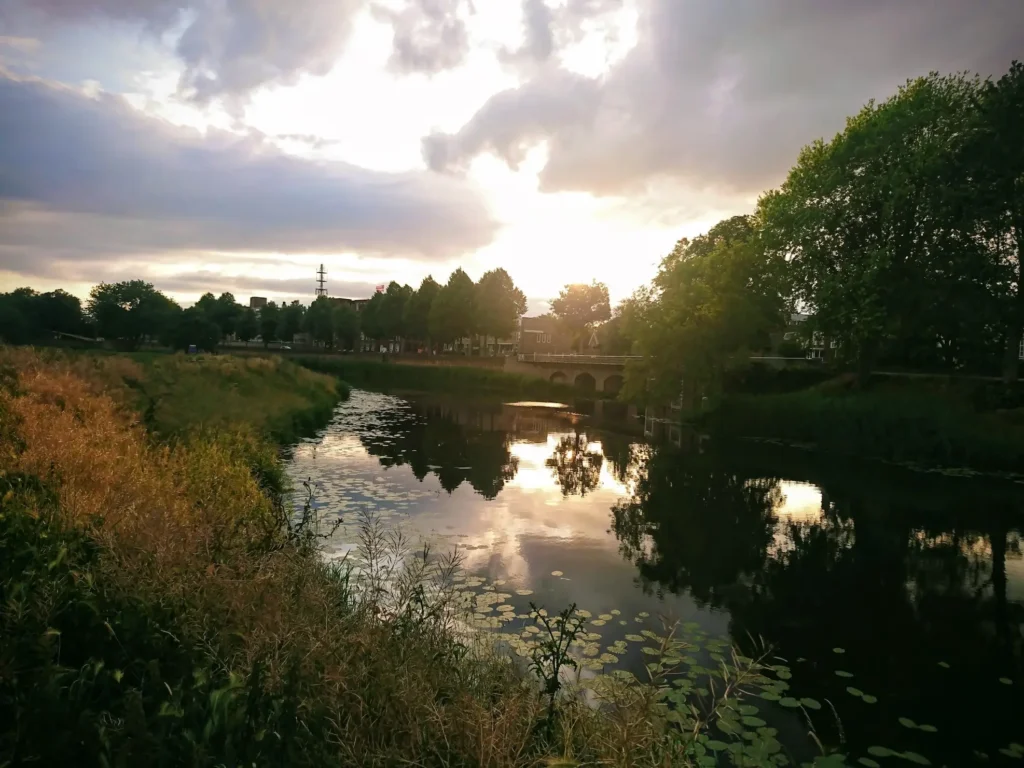 Verhuisbedrijf Den Bosch