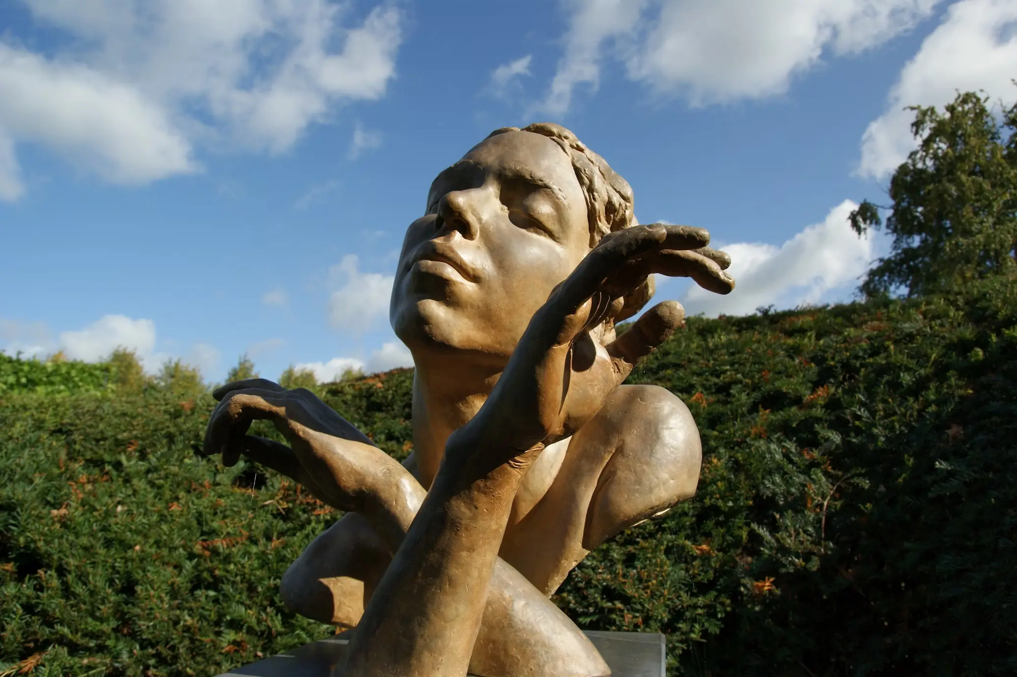 Verhuisbedrijf Eelde