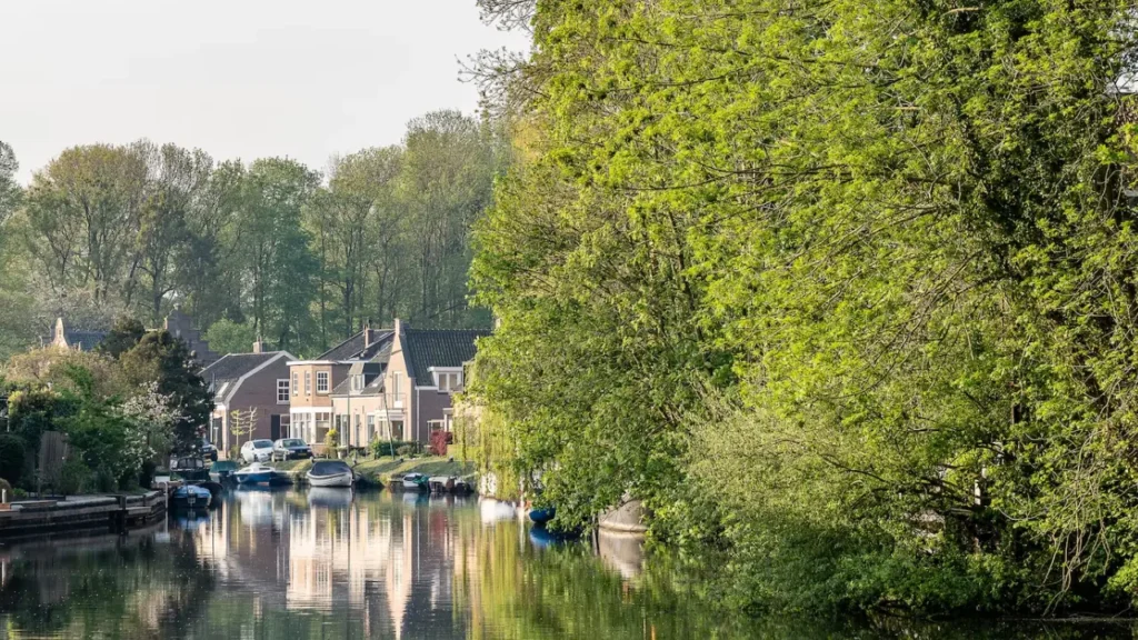 Verhuisbedrijf Pijnacker
