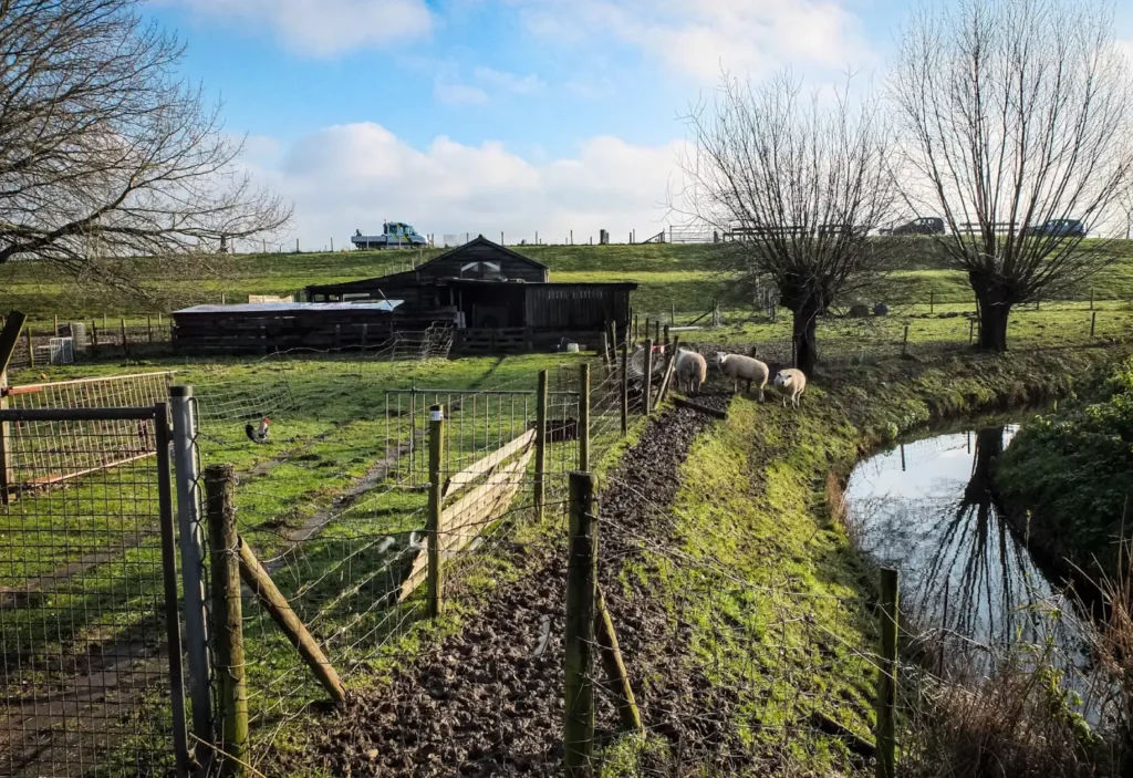 Verhuisbedrijf Ridderkerk