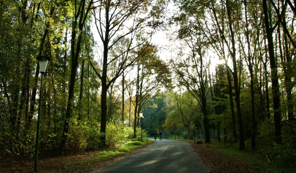 Verhuisbedrijf Veendam