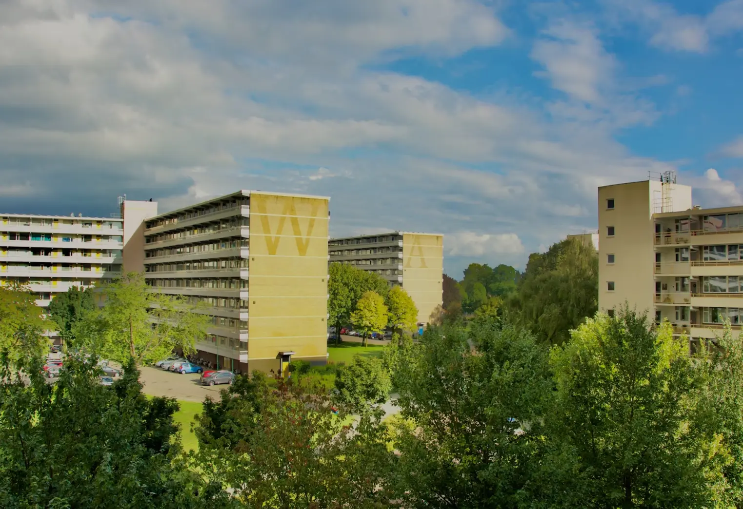 Verhuisbedrijf Veenendaal