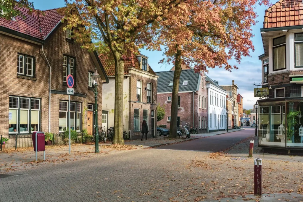 Verhuisbedrijf Weesp