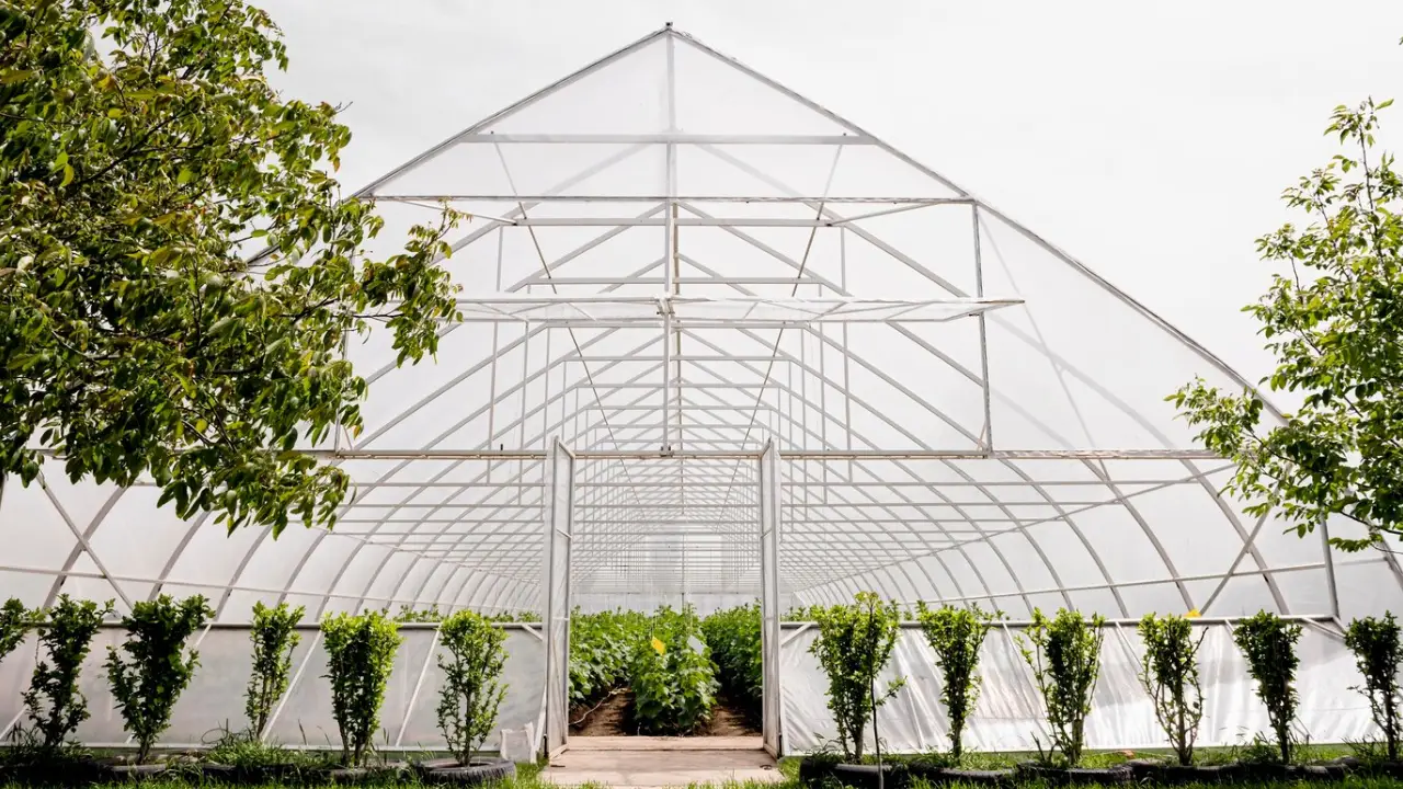 Verhuisbedrijf Westland