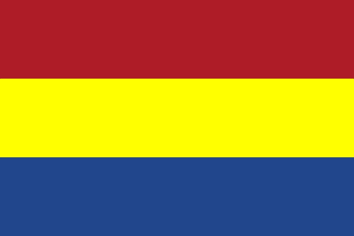 Vlaardingen vlag