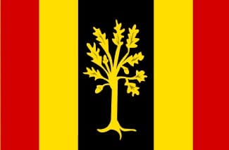 Waalwijk vlag
