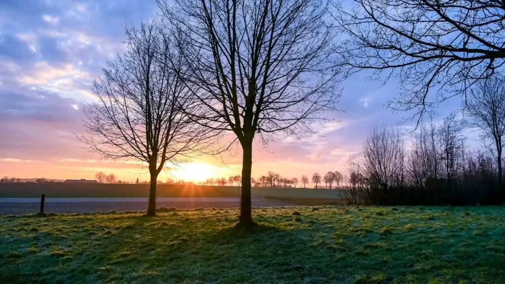 Verhuisbedrijf Sittard